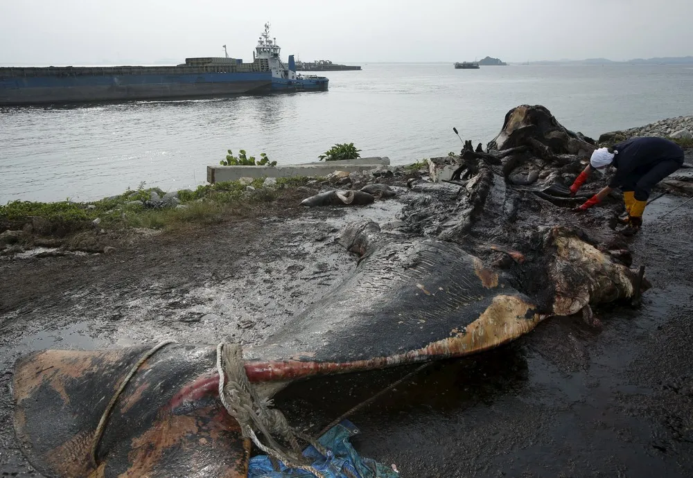 The Day in Photos – July 13, 2015