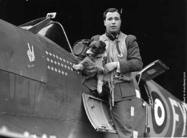 1941: Flight Lieutenant Eric Stanley Lock, DFC, and Bar, DSO, of 611 Squadron. Aircraft carries 'V' for Victory crest, and 26 swastikas showing his 26 Nazi kills. Stanley carries a dog under one arm