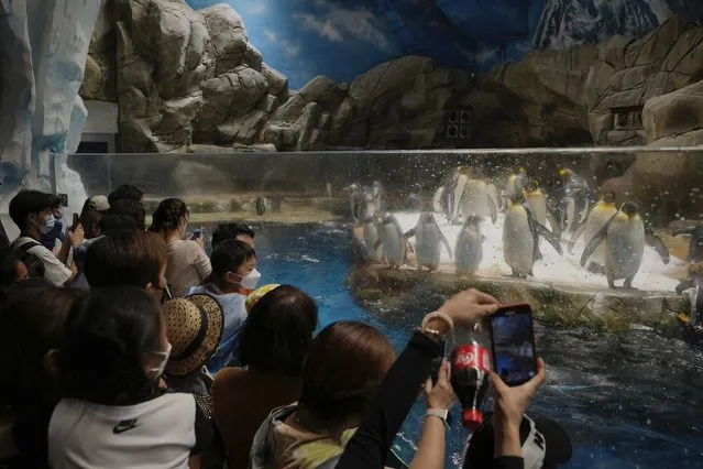 Visitors take photographs of penguins at the Ocean Park, Thursday, April 21, 2022. Hong Kong Ocean Park reopened to the public after shutting down due to a surge in COVID-19 infections. (Photo by Kin Cheung/AP Photo)