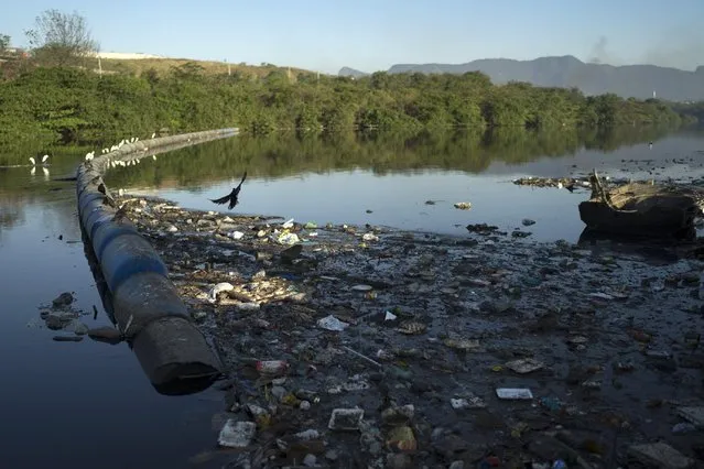 Trash abuts floating waste barriers in a canal at the Mare slum complex, in Rio de Janeiro, Brazil, Friday, July 31, 2015. Rio's historic sewage problem spiraled over the past decade as the population exploded with many of the metropolitan area's 12 million residents settling in the vast slums that ring the bay. Waste flows into over 50 streams that empty into the once-crystalline Guanabara Bay. (Photo by Leo Correa/AP Photo)