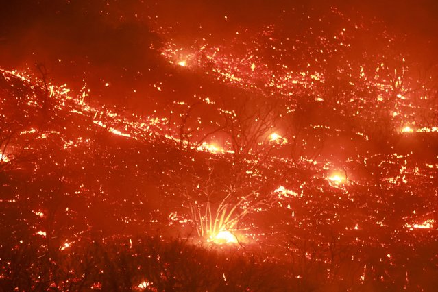 Embers fly through the air as Highway 330 is engulfed in flames from the Line Fire near Running Springs, California, on September 7, 2024. California Governor Gavin Newsom and San Bernardino County authorities declared a state of emergency on September 8. The Line Fire has burned more than 7,000 acres (2,800 hectares). (Photo by David Swanson/AFP Photo)