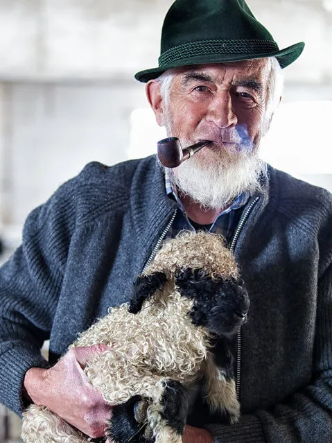 “Alm Shepherd”. During a hiking trip in Zermatt, Switzerland, I met this incredible old man with a smile on his face that I will never forget. With kind, wise eyes he told us stories about his life. Photo location: Zermatt, Switzerland. (Photo and caption by Nicole Luettecke/National Geographic Photo Contest)