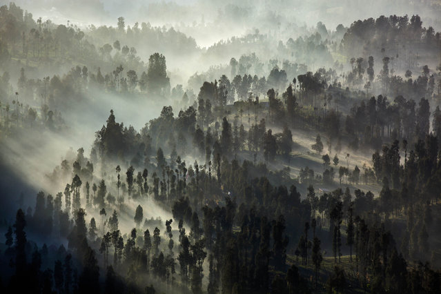 General view of the Bromo Tengger Semeru National Park, the location of the Tenggerese villages where the Tenggerese Hindu Yadnya Kasada Festival is held on August 11, 2014 in Probolinggo, Java, Indonesia. (Photo by Ulet Ifansasti/Getty Images)
