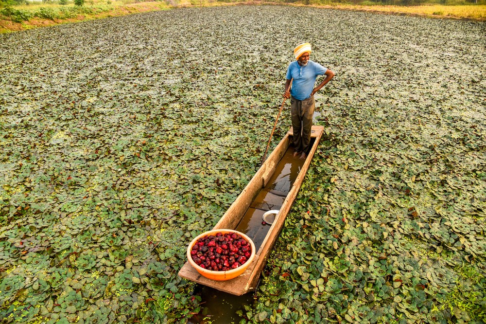 A Look at Life in India