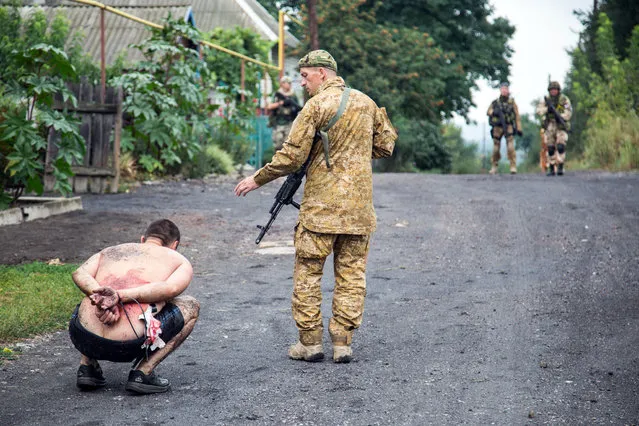 Armed Ukrainian forces detain a pro-Russian militant in the village of Chornukhine in the Lugansk region on August 18, 2014. A Ukrainian warplane was blown out of the sky over rebel-held territory as fierce clashes between government troops and pro-Russian insurgents left dozens of civilians dead. At least 415,800 people have fled their homes due to fighting between government forces and pro-Russian separatists in eastern Ukraine, the UN refugee agency said on August 20. (Photo by Oleksandr Ratushniak/AFP Photo)