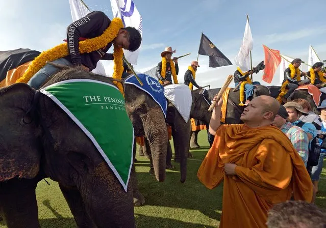 A Thai Buddhist monk (R) sprinkles holy water on elephants during a religious ceremony as part of the annual King's Cup elephant polo tournament in Samut Prakan province on August 28, 2014. The King's Cup elephant polo tournament, which is held annually to promote elephant projects and conservation, takes place from August 28 to 31. (Photo by Pornchai Kittiwongsakul/AFP Photo)