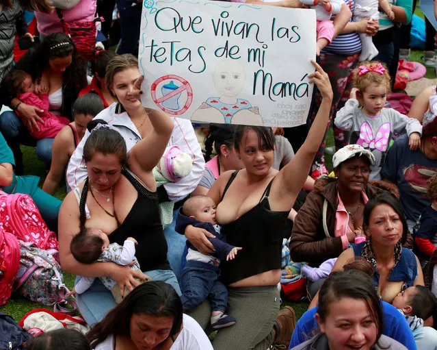 Mothers hold a sign that reads “Long live my mother's breasts”, as part of the celebration for World Breastfeeding Week, at Lovers Park in Bogota, Colombia, August 3, 2016. (Photo by John Vizcaino/Reuters)