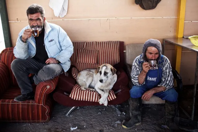 Workers of Vafa animal shelter drink a cup of tea during a break on February 19, 2016 in the town of Hashtgerd, some 70kms (43 miles) west of the capital Tehran. Vafa, the first animal shelter in Iran, is a non-government charity that relies on private donations and volunteers and it is currently providing shelter to more than 700 injured and homeless dogs. (Photo by Behrouz Mehri/AFP Photo)