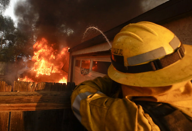 A Los Angeles County firefighter puts water a burning house in a wildfire in the Lake View Terrace area of Los Angeles Tuesday, December 5, 2017. Ferocious winds in Southern California have whipped up explosive wildfires, burning a psychiatric hospital and scores of other structures. Tens of thousands of people have been ordered evacuated. (Photo by Chris Carlson/AP Photo)