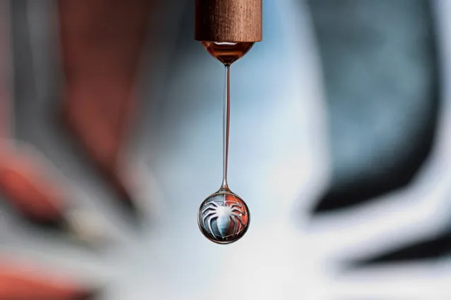  Refractions In Water Drops By Markus Reugels