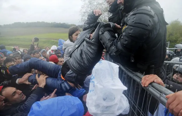 A man is lifted over a fence by Slovenian policemen as migrants attempt to cross the border near Trnovec, Croatia October 19, 2015. (Photo by Antonio Bronic/Reuters)