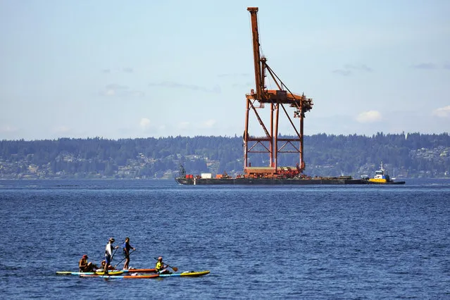 People atop stand-up paddle boards look on as a barge with a 116-foot container crane aboard moves through Puget Sound from Seattle's Terminal 5 on its way to Tacoma's West Sitcum Terminal Wednesday, August 26, 2020. In a cost-saving measure, Matson is consolidating operations to the single site in Tacoma and is expected to move another two cranes from Seattle next week. Three other cranes will be dismantled and removed from Terminal 5 later this year, and larger cranes, which can reach 22 to 24 containers across rather than 16 containers, will be installed at Terminal 5 in 2021. (Photo by Elaine Thompson/AP Photo)