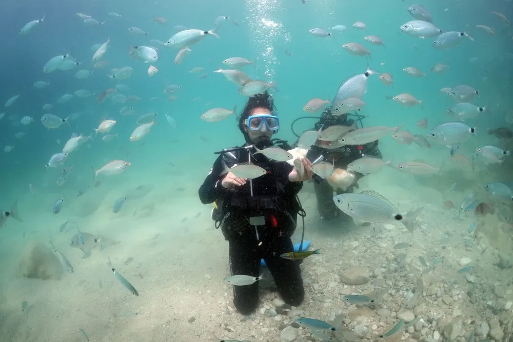 A Look at Life in Turkey