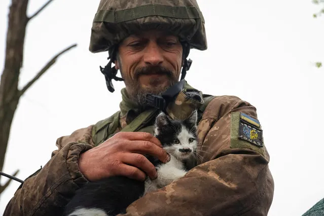 A Ukrainian serviceman pets a kitten in a trench at a frontline, amid Russia's attack on Ukraine, in Donetsk region, Ukraine on April 28, 2023. (Photo by Sofiia Gatilova/Reuters)