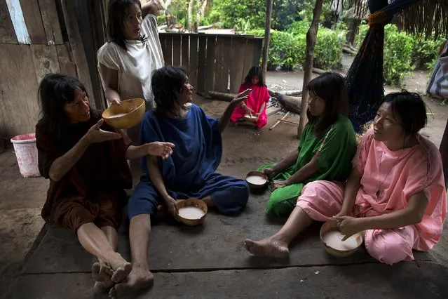 In this November 22, 2015 photo, women gather to drink masato, a traditional fermented juice made from yuca, a starchy tuber, in Potsoteni, an Ashaninka indigenous community in Peru's Junin region. In the village there also are tropical fruits such as bananas and mangos, sometimes a little chicken or fish caught from the river, which also provides drinking water and a place to bathe. (Photo by Rodrigo Abd/AP Photo)