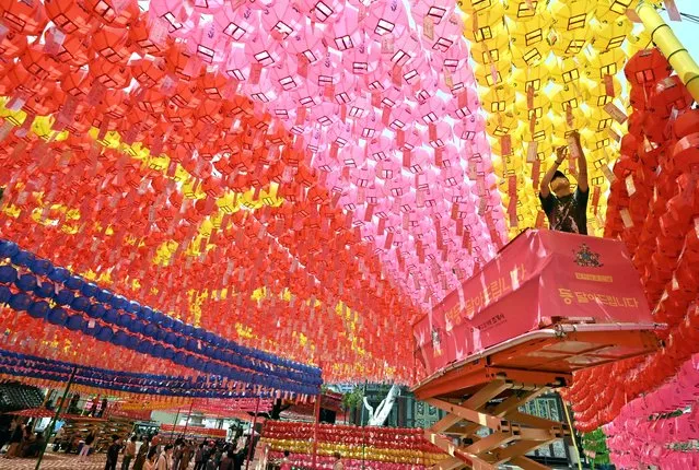 A worker attaches name cards with wishes of Buddhist followers to lotus lanterns at Jogyesa Temple in Seoul on May 26, 2023, ahead of celebrations marking Buddha's birthday on May 27. (Photo by Jung Yeon-je/AFP Photo)