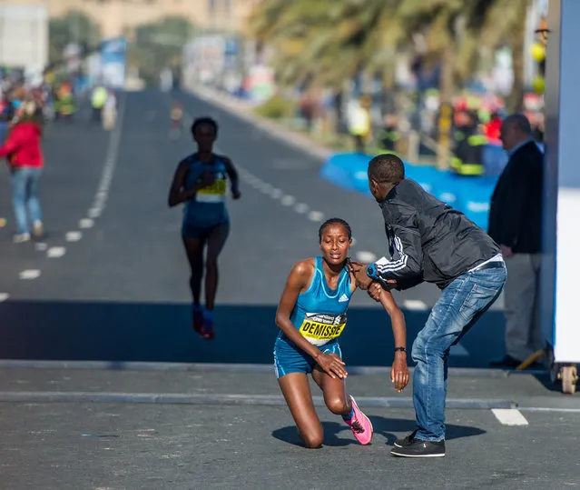 Shure Demissie of Ethiopia collapses after crossing the finish line in fourth place at the Standard Chartered Dubai Marathon 2015 held in Dubai, UAE, on Friday, January 23, 2015. (Photo by Stephen Hindley/AP Photo)