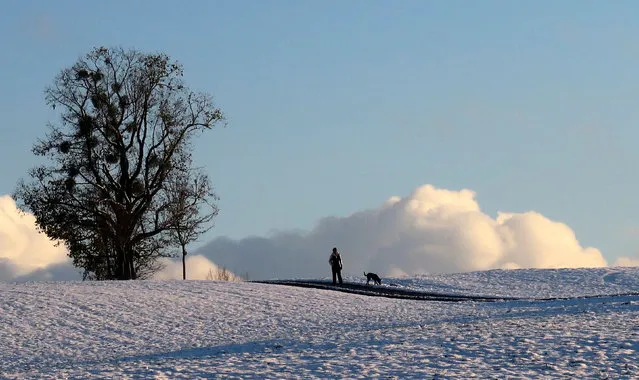 A woman and her dog walk along a snow covered field in Warngau, November 8, 2016. (Photo by Michael Dalder/Reuters)