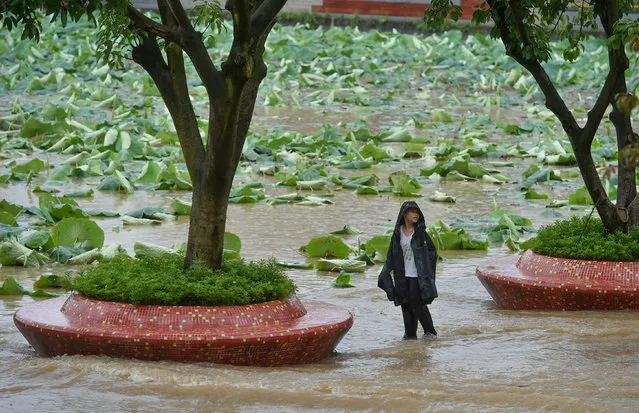 A boy stands on a flooded road amid heavy rainfall in Chengdu, Sichuan province, China July 2, 2018. (Photo by Reuters/China Stringer Network)