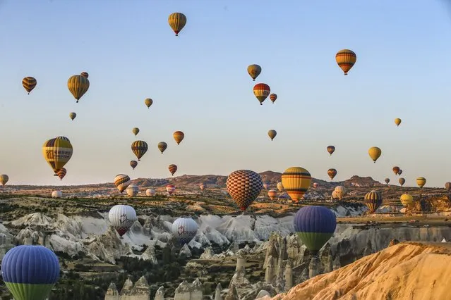 Hot air balloons, carrying tourists, rise into the sky at sunrise in Cappadocia, central Turkey, early Tuesday, August 7, 2018. Cappadocia has become a favourite site for tourists in hot-air balloons who can slowly drift above the cone-shaped rock formations and then float up over rippled ravines for breathtaking views over the region. (Photo by Emrah Gurel/AP Photo)