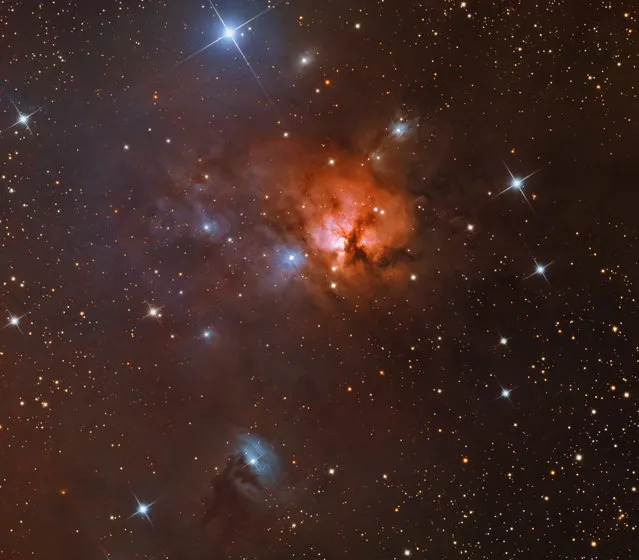 Colorful NGC 1579 resembles the better known Trifid Nebula, but lies much farther north in planet Earth’s sky, in the heroic constellation Perseus. About 2,100 light-years away and 3 light-years across, NGC 1579 is, like the Trifid, a study in contrasting blue and red colors, with dark dust lanes prominent in the nebula’s central regions. In both, dust reflects starlight to produce beautiful blue reflection nebulae. But unlike the Trifid, in NGC 1579 the reddish glow is not emission from clouds of glowing hydrogen gas excited by ultraviolet light from a nearby hot star. Instead, the dust in NGC 1579 drastically diminishes, reddens, and scatters the light from an embedded, extremely young, massive star, itself a strong emitter of the characteristic red hydrogen alpha light. (Bill Snyder)