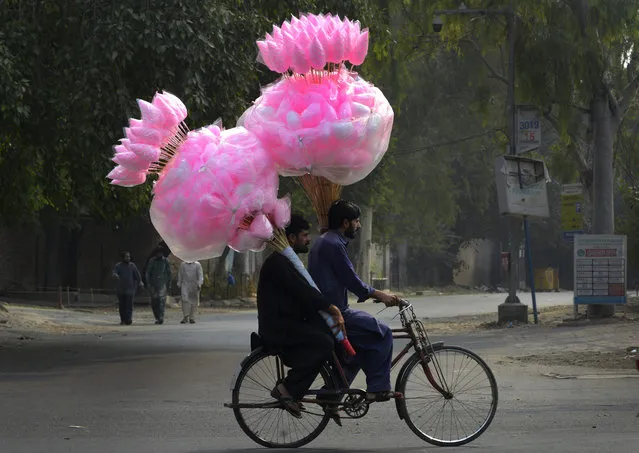Pakistani vendors carry cotton candy as they ride on a bicycle along a street in Lahore on November 4, 2018. (Photo by Arif Ali/AFP Photo)