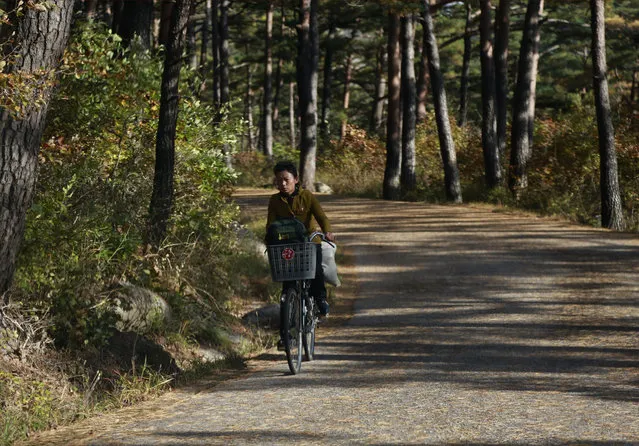 In this October 23, 2018, photo, a woman rides her bicycle through the Mount Kumgang resort area in North Korea. (Photo by Dita Alangkara/AP Photo)