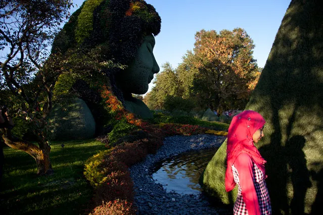“Mother (and daughter) Earth”. I was visiting the Mosaïcultures exhibit at the Montreal botanical gardens, an international showcase of huge living sculptures, and the crowds were so dense that I began integrating people into my photographs. Venturing around the back of one sculpture entitled “Mother Earth”, I happened on a girl with an uncanny likeness to the giant, peaceful woman behind her. Photo location: Montréal Botanical Gardens, Québec, Canada. (Photo and caption by Nasuna Stuart-Ulin/National Geographic Photo Contest)