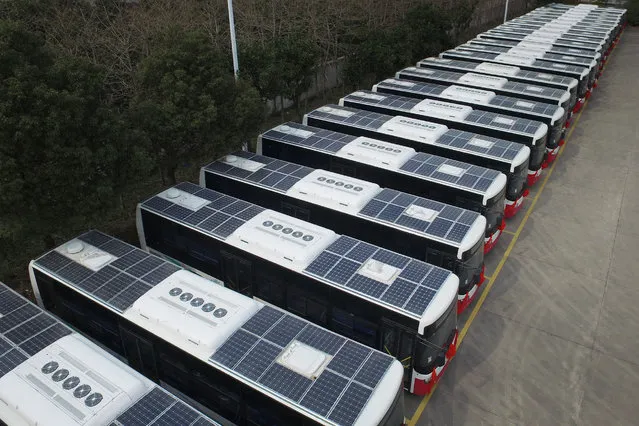 Buses with solar panels installed on their roofs to save electricity are seen in a parking lot in Hangzhou, Jiangsu Province, China, March 17, 2016. (Photo by Reuters/Stringer)