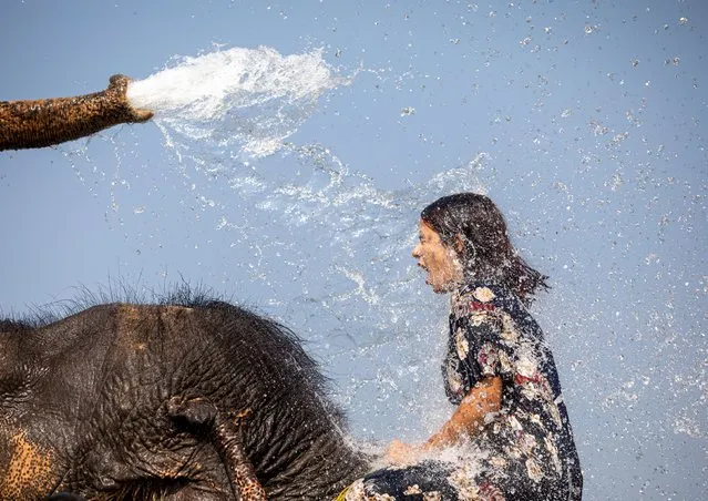 A young girl is splashed as she takes an elephant bath at Rapti river in Chitwan, Nepal, 30 October 2021. Chitwan is one of the major tourist destinations in Nepal and popular zone for wild life sightseeing in Chitwan National Park. (Photo by Narendra Shrestha/EPA/EFE/Rex Features/Shutterstock)