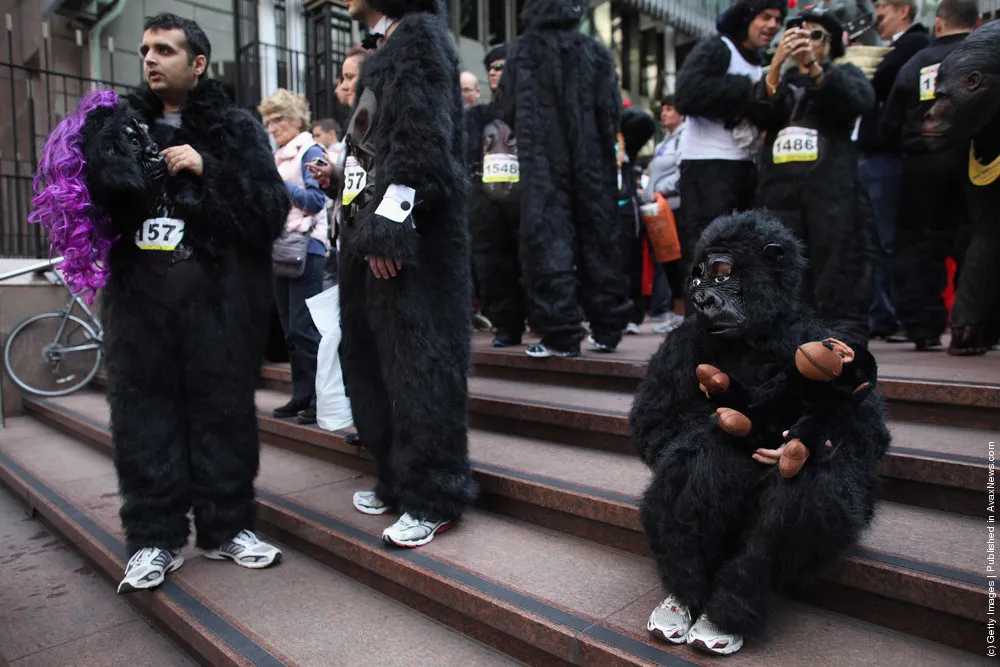 Gorillas Take To The Streets Of The City In Annual Charity Race