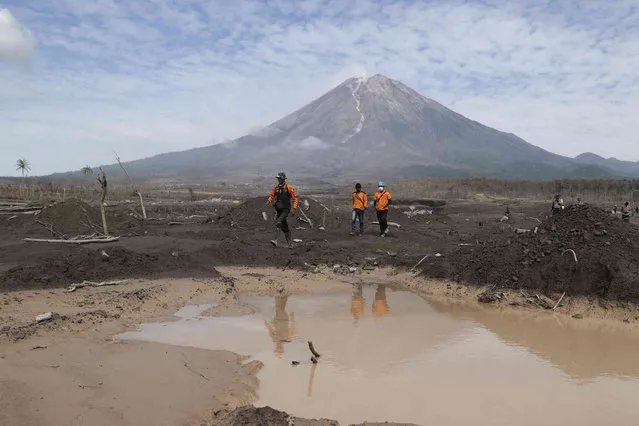 Rescuers walk on an area affected by the eruption of Mount Semeru, background, during a search for victims in Lumajang, East Java, Indonesia, Wednesday, December 8, 2021. (Photo by Trisnadi/AP Photo)