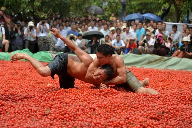 Contestants wrestle in a pool of tomatoes during a local culture and tourism festival in Tianyang, Guangxi Zhuang Autonomous Region, China, April 14, 2016. (Photo by /Reuters)