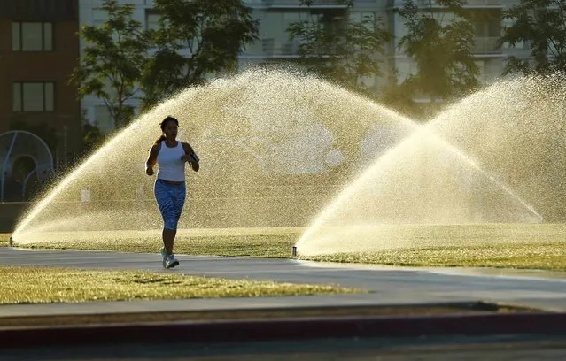 Sprinklers spray water onto grass as a jogger runs through a city park in San Diego, California September 12, 2014. California communities where a wet winter has filled reservoirs and begun ameliorating the state's catastrophic four-year drought, begged water regulators on April 20, 2016, to reduce or eliminate emergency conservation measures imposed last year. (Photo by Mike Blake/Reuters)