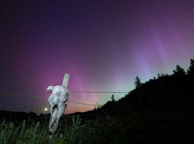 A farm near Elkton, south-west Oregon on May 11, 2024. (Photo by Robin Loznak/Rex Features/Shutterstock)