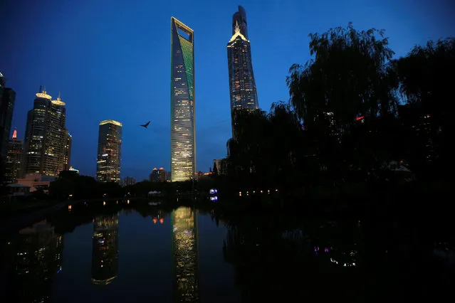 The Shanghai World Financial Center building is illuminated in the colors of the Brazilian flag to pay homage to the Rio 2016 Olympics, in Shanghai, China, August 4, 2016. (Photo by Aly Song/Reuters)