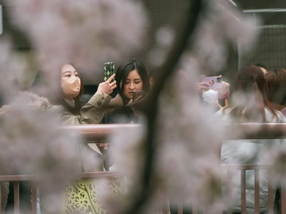 The Day in Photos – March 30, 2022