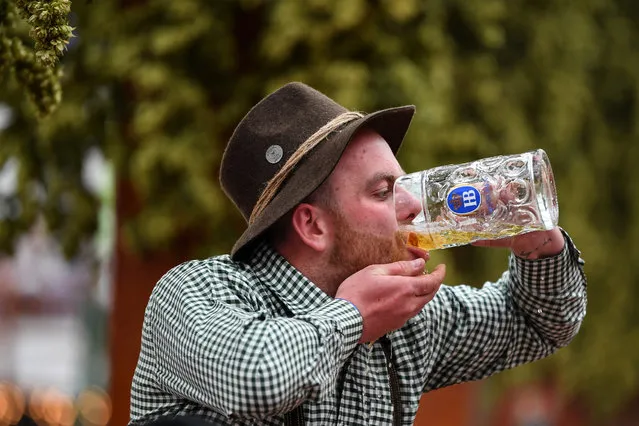 A visitor downs a mug of beer at the Hofbraeu tent during the opening day of the 186th Oktoberfest beer festival on the Theresienwiese in Munich, Germany, 21 September 2019. The Munich Beer Festival is the world's largest traditional beer festival and runs from 21 September to 06 October. (Photo by Philipp Guelland/EPA/EFE)