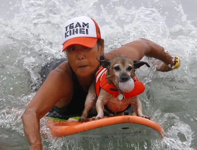 Jill Nakano paddles with her dog Kihei during a competition in the small dog category during the10th annual Petco Unleashed surfing dog contest at Imperial Beach, California August 1, 2015. (Photo by Mike Blake/Reuters)