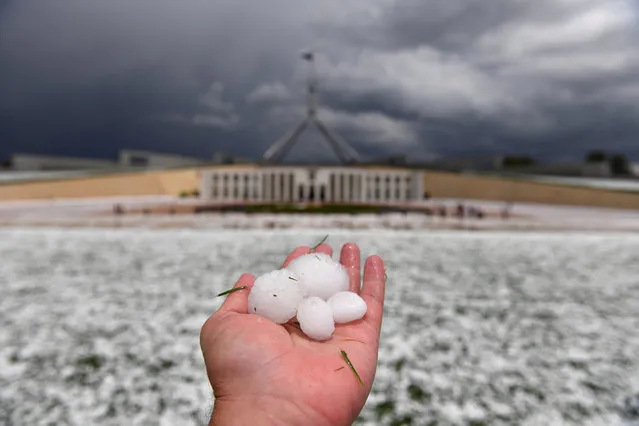 A man shows golf ball-size hail outside Parliament House after a severe hail storm hit Canberra, Australia, 20 January 2020. (Photo by Mick Tsikas/EPA/EFE)