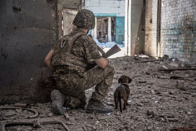 A Ukrainian service member with a dog observes in the industrial area of the city of Sievierodonetsk, as Russia's attack on Ukraine continues, Ukraine on June 20, 2022. (Photo by Oleksandr Ratushniak/Reuters)