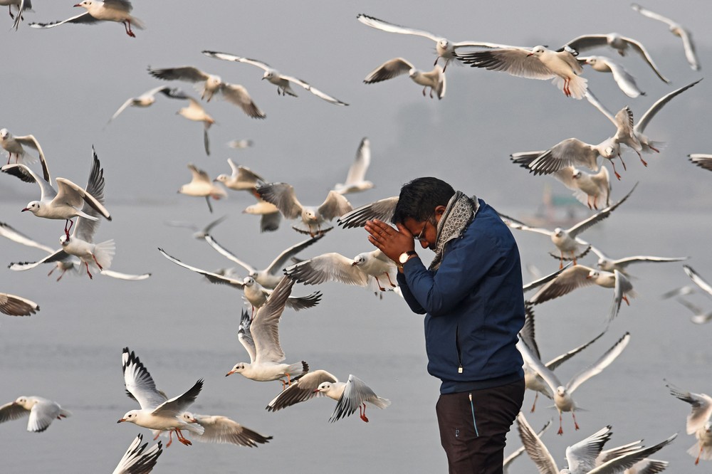 A Look at Life in India