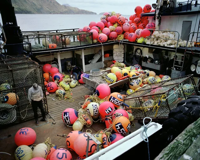 The crew relentlessly baits and dumps crab pots, maintains the ship, and sorts crabs. (Photo by Corey Arnold)