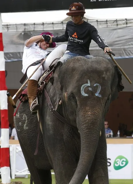 Elephant polo competitor British woman Carolyn Syangbo from team Mercedes-Benz Thailand slips off her elephant and is helped to regain her seat by the Thai mahout on first day's play in the King's Cup Elephant Polo Tournament 2014 held near Bangkok, in Samut Prakan province, Thailand, 28 August 2014. (Photo by Barbara Walton/EPA)