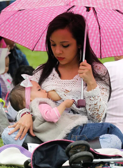 A mother breastfeeds her child, as part of the celebration for World Breastfeeding Week, at Lovers Park in Bogota, Colombia, August 3, 2016. (Photo by John Vizcaino/Reuters)