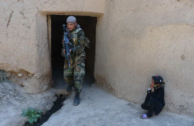 An Afghan girl watches an Afghanistan National Army (ANA) special forces soldier as he patrols in Gozara District of Herat on August 24, 2015. The Taliban are stepping up their summer offensive, launched in late April, amid a bitter leadership dispute following the announcement of the death of longtime leader Mullah Omar. (Photo by Aref Karimi/AFP Photo)