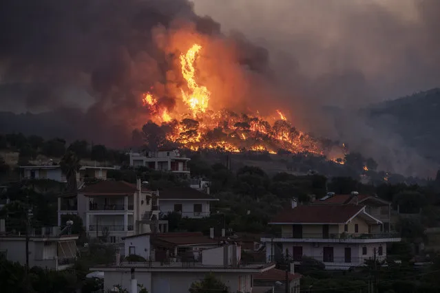 Fire burns near the village of Galataki as authorities evacuate the place near Corinth, Greece, on Wednesday, July 22, 2020. More than 250 firefighters, backed by water-dropping aircraft, were struggling Wednesday to contain a large wildfire fanned by strong winds that has forced the evacuation of five settlements in southern Greece. (Photo by Petros Giannakouris/AP Photo)