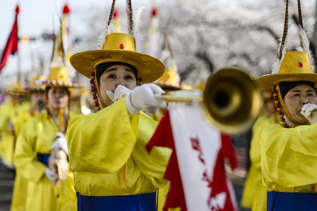 A South Korean traditional musician plays a “nabal”, a long metal trumpet, on the first day of the Yeouido Cherry Blossom Festival in Seoul on April 8, 2025. This year's festival was postponed from its original start date of April 4th to the 8th due to the Constitutional Court's verdict on former president Yoon Suk Yeol, who was removed from office over a disastrous declaration of martial law. (Photo by Anthony Wallace/AFP Photo)