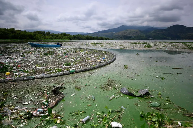 Workers of the Authority for the Sustainable Management of the Amatitlan Basin and Lake (AMSA) collect waste washed away by rains and held by a barrier installed in one of the tributaries of the lake in Amatitlan, Guatemala, on September 14, 2022. (Photo by Johan Ordonez/AFP Photo)