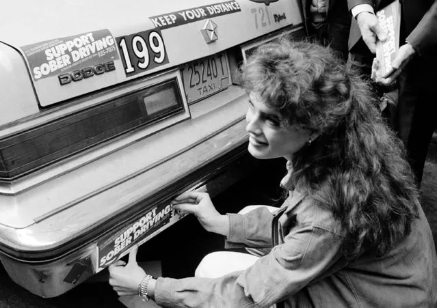 Actress-model Brooke Shields, seen December 15, 1983, adheres an anti-drunk driving bumper sticker to the back of a cab outside the Taxi Drivers' Union in New York to help publicize the National Council on Alcoholism's latest project – placing “Support Sober Driving” stickers on 3,000 of the city's yellow cabs. (Photo by Marty Lederhandler/AP Photo)
